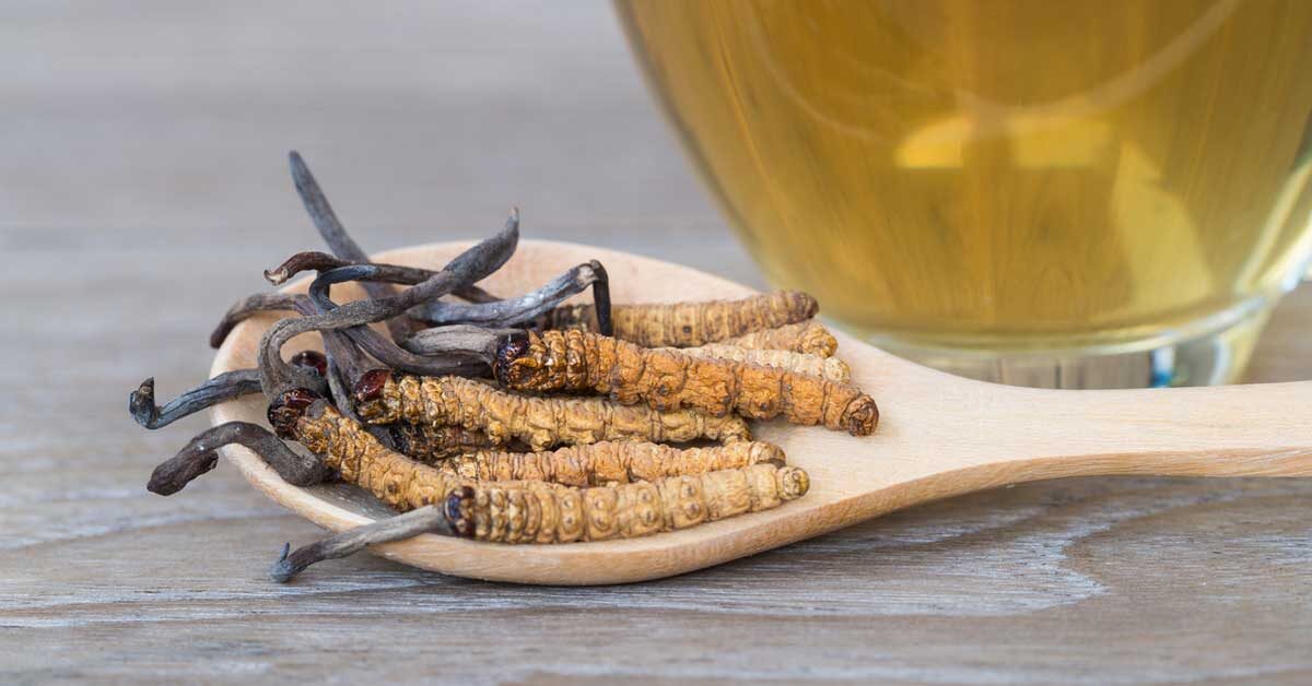 CORDYCEPS for cancer support and immune modulation ( & my personal experience)