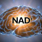 Understanding NAD - More than Just a Wellness Buzzword