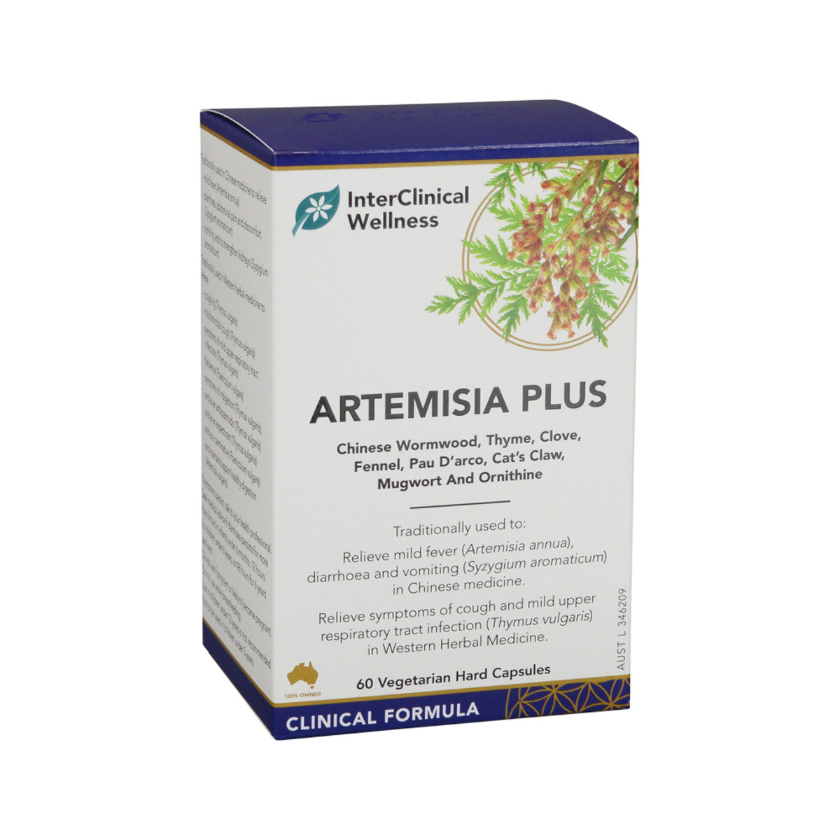 INTERCLINICAL WELLNESS ARTEMISIA PLUS 60VC