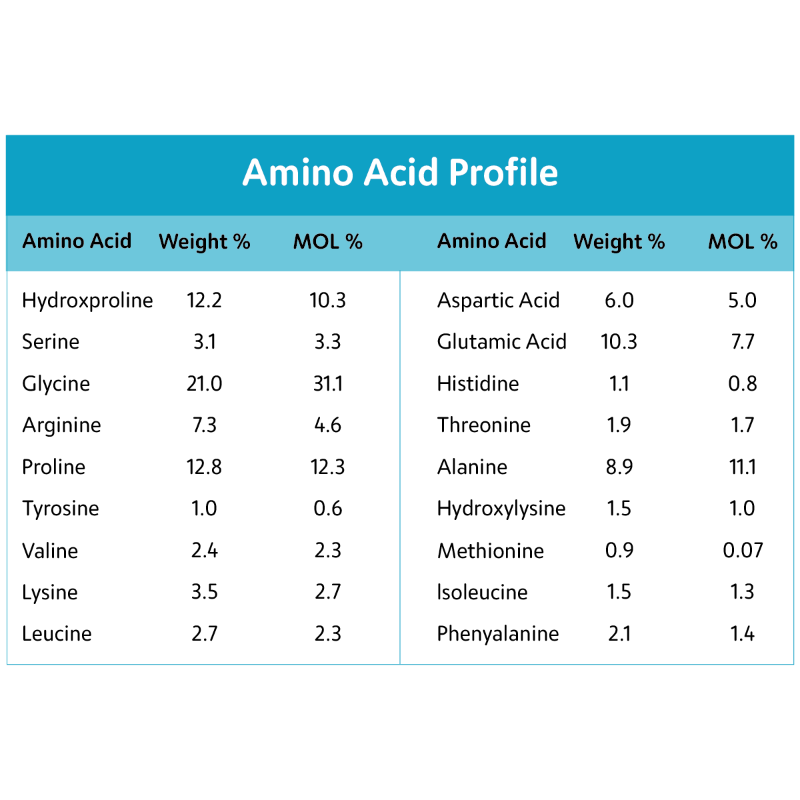 Muscle Build 500g