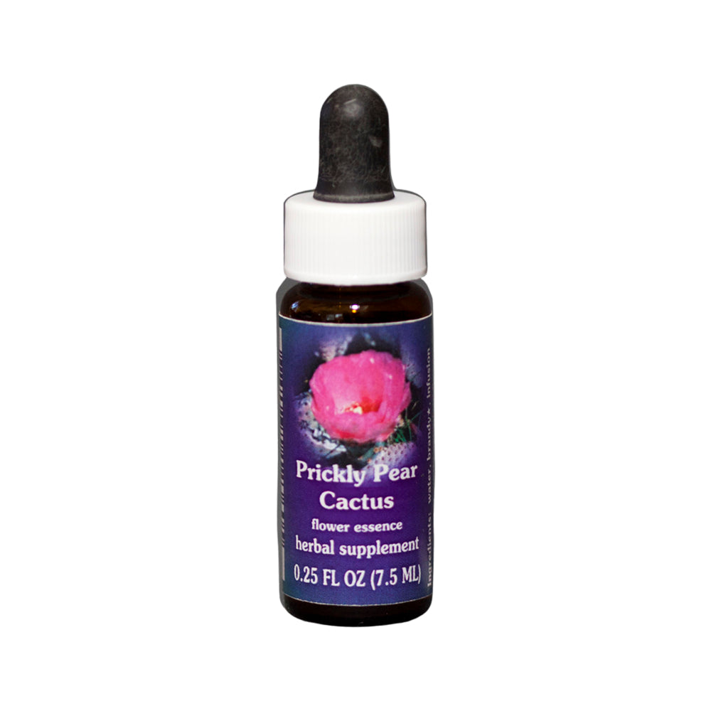 FES Organic Research Flower Essence Prickly Pear Cactus 7.5ml